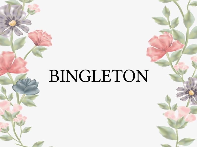 Bingleton